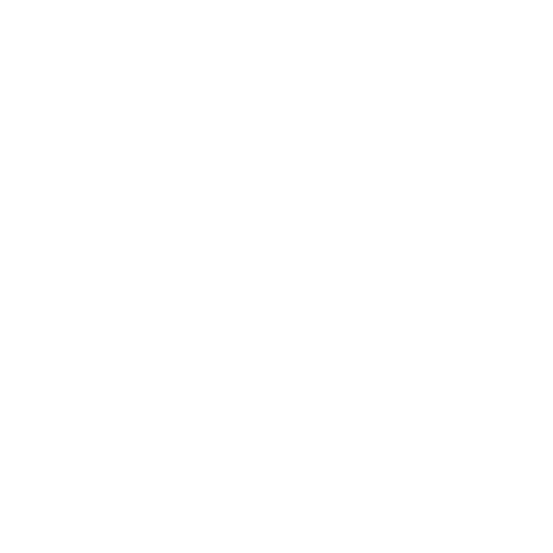 Online Özel Ders